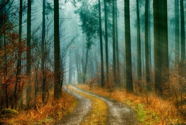 Image showcasing our blog's vibrant 'Poems About Life' category, featuring captivating poetry and prose by Vitaly, the Ukrainian Orphan, author of the book 'Vitaly', and other gifted poets.