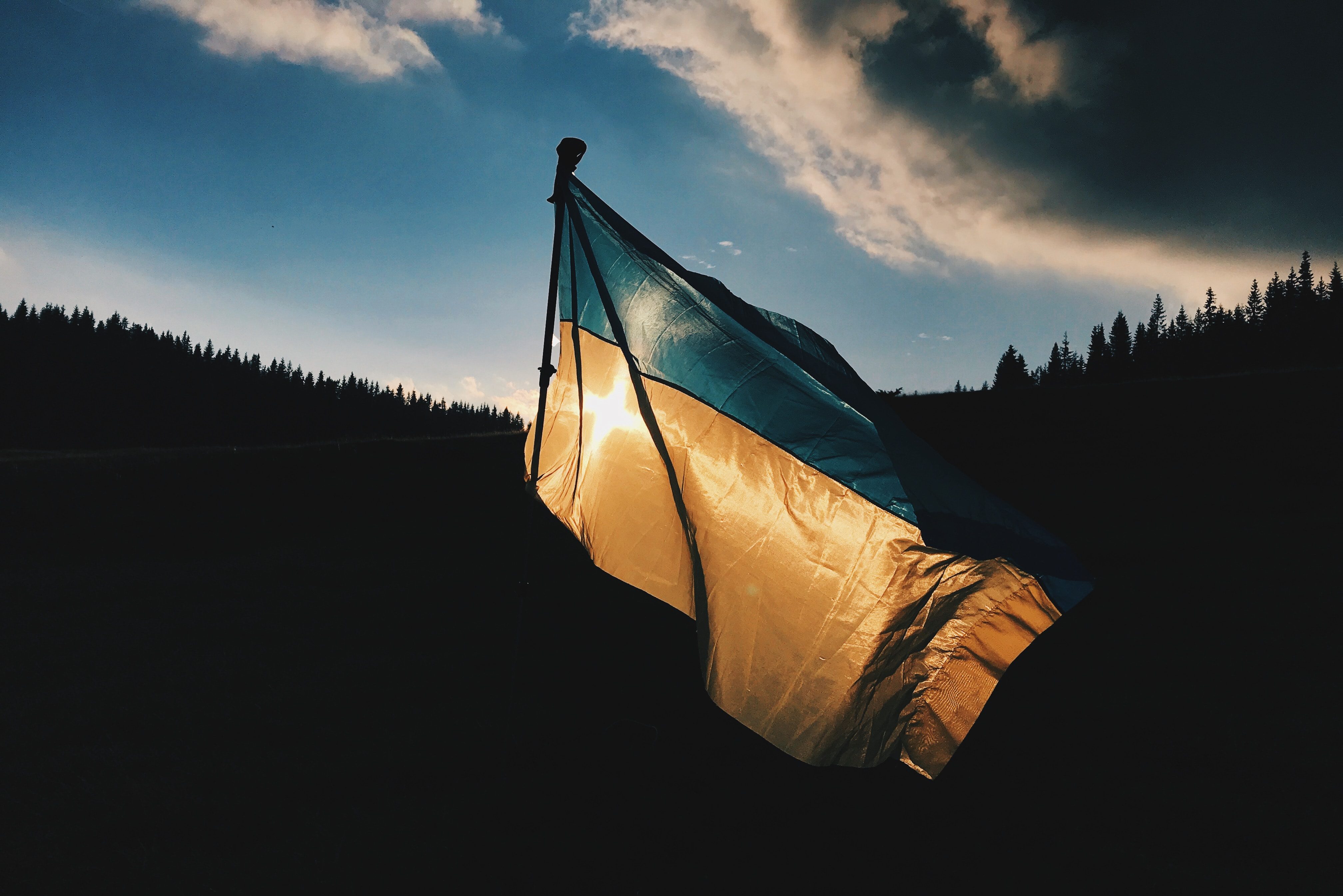 Ukrainian Flag In A Dark Forest, Symbolizing The Quest For A Lasting Solution To The Crimea Crisis.